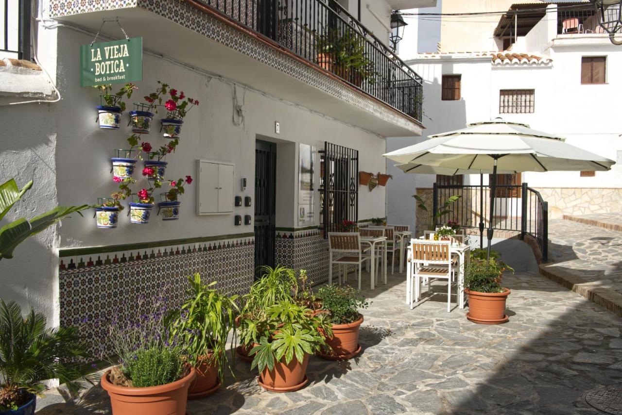 Canillas de AceitunoLa Vieja Botica住宿加早餐旅馆 外观 照片